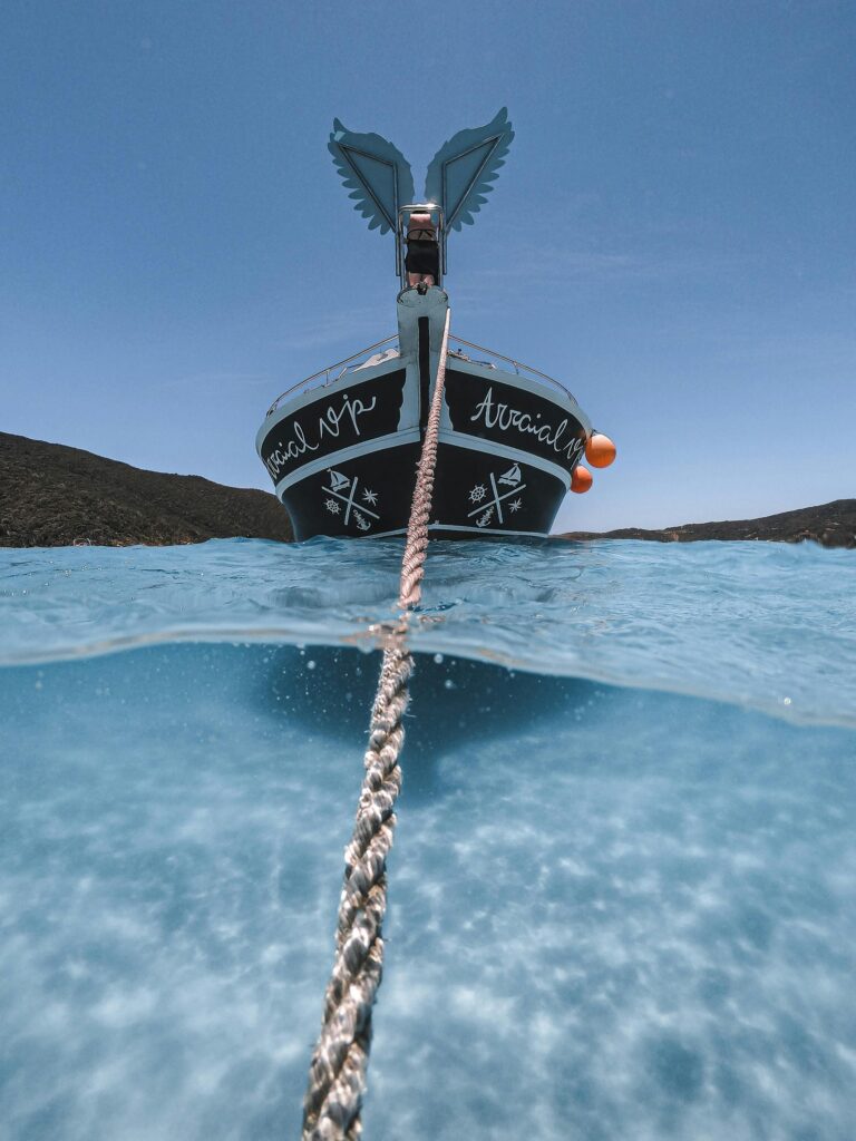 Boat Tours